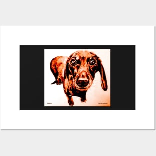 Dave the Dachshund 2 by AllansArts Posters and Art